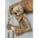 Skull as toilet paper holder h=19cm w=20cm