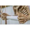 Skull as toilet paper holder h=19cm w=20cm