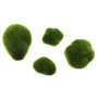 Stones "Moss", set of 8 5 - 10 cm