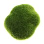 Stones "Moss", set of 8 5 - 10 cm