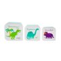 Lunchbox Lunchbox Dinosaurus Set van 3
