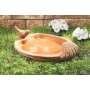 Terracotta bird bath