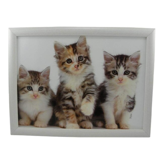 Mars & More Kitten Kniebak