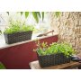Planter box "Polyrattan", approx. 44 x 19 x 16 cm
