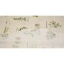 Tablecloth "Herbs", approx. Ø 160 cm