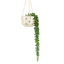 Hanging planter queen bee, approx. 20.5 x 7.5 x 14.5 cm