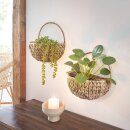 Wall planter "Water hyacinth", approx. 26 x 16 x 14 cm