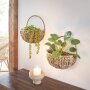 Wall planter "Water hyacinth", approx. 26 x 16 x 14 cm