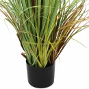 Pot plant "reed"