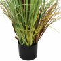 Pot plant "reed"