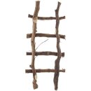 Echelle de décoration en bois de vigne