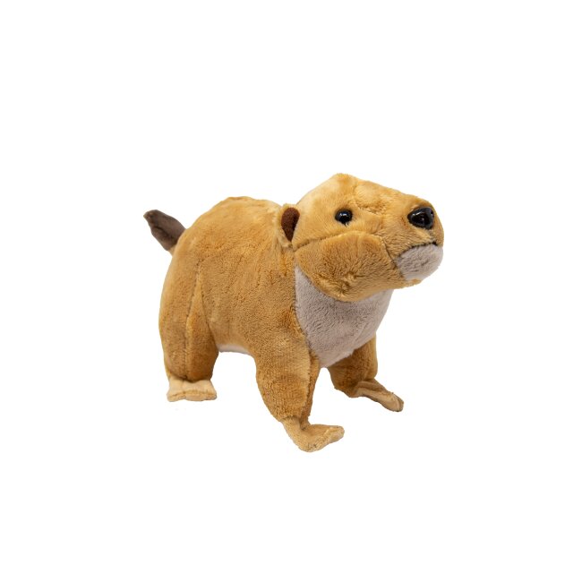 Plush prairie dog 22 cm