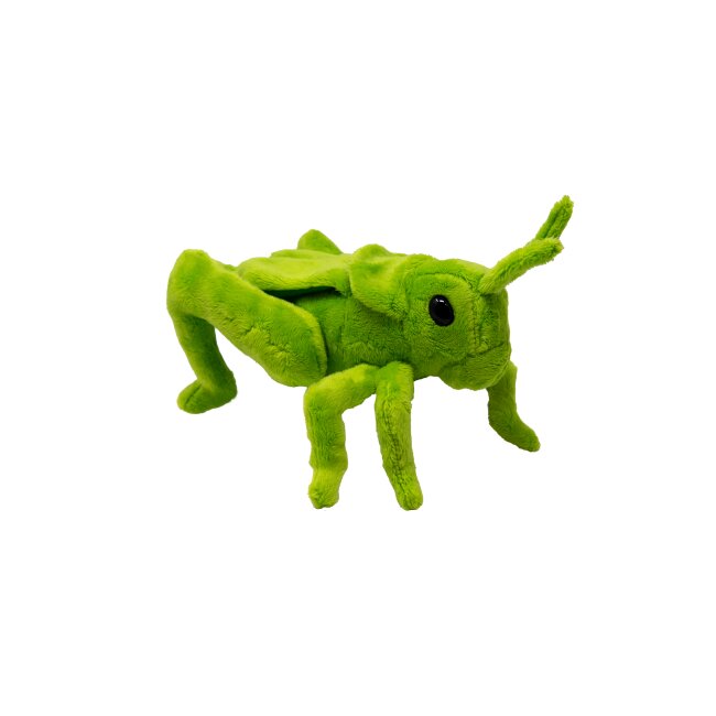 Plush grasshopper 25 cm