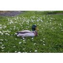 DecoBird &ndash; Stockente (Anas platyrhynchos)