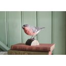 DecoBird – Dompfaff (Pyrrhula pyrrhula)