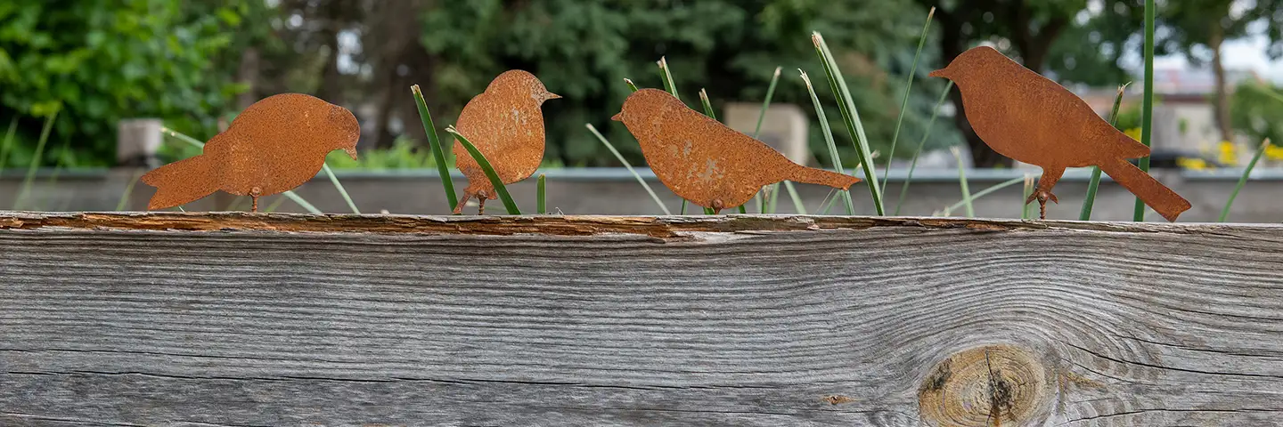 # der Herbst klopft an die Tür